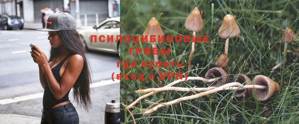ПСИЛОЦИБИНОВЫЕ ГРИБЫ Нефтегорск