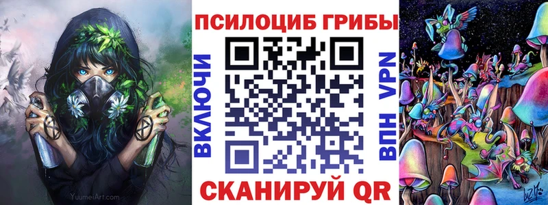 mega сайт  Чухлома  Галлюциногенные грибы мицелий 